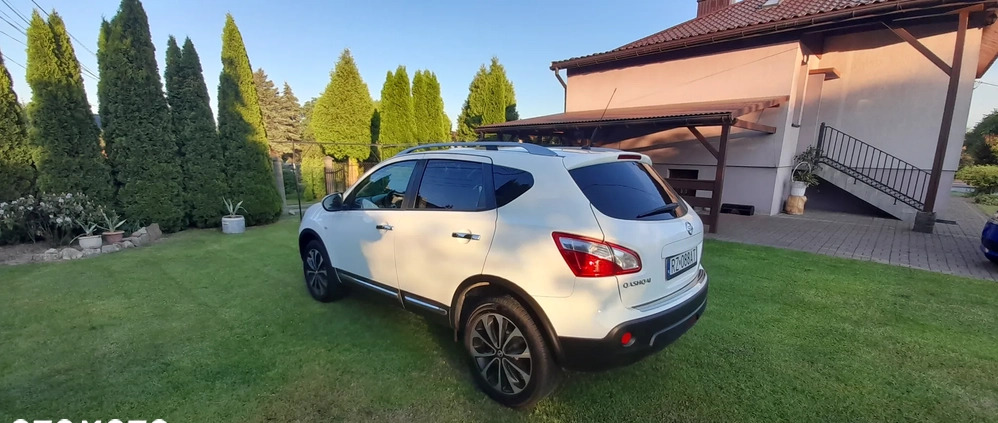 Nissan Qashqai cena 29900 przebieg: 245000, rok produkcji 2011 z Rzeszów małe 56